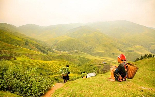 Sapa weather