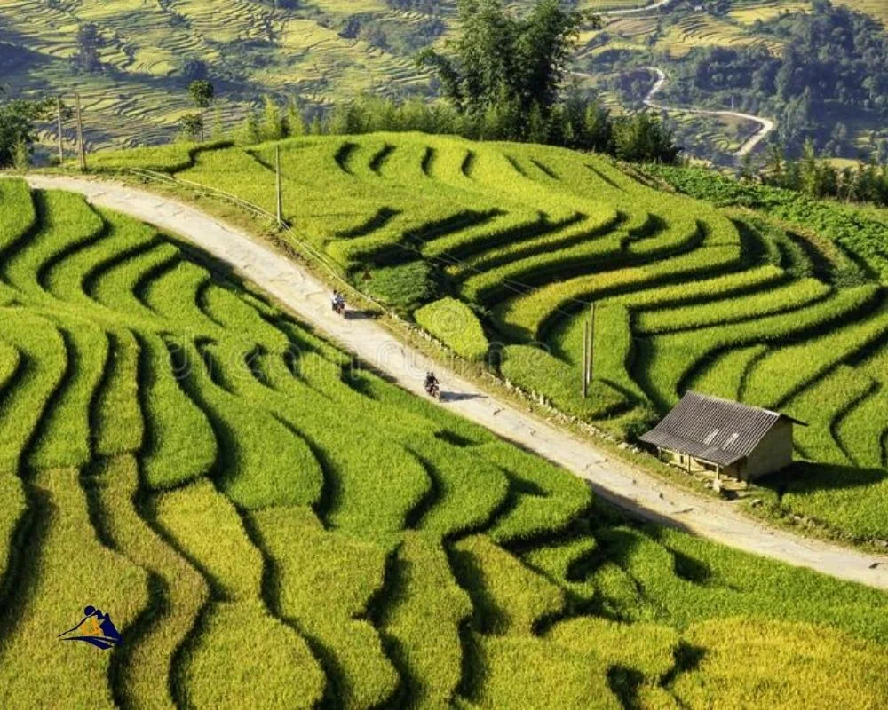 Sapa weather