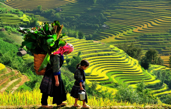 Ta Van Village Sapa Tour Ubuntu Hostel