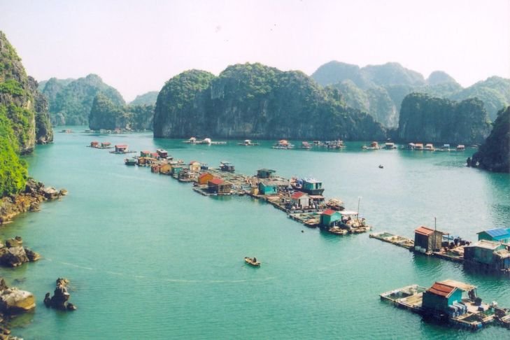 Tra Bau Village Ha Long Bay