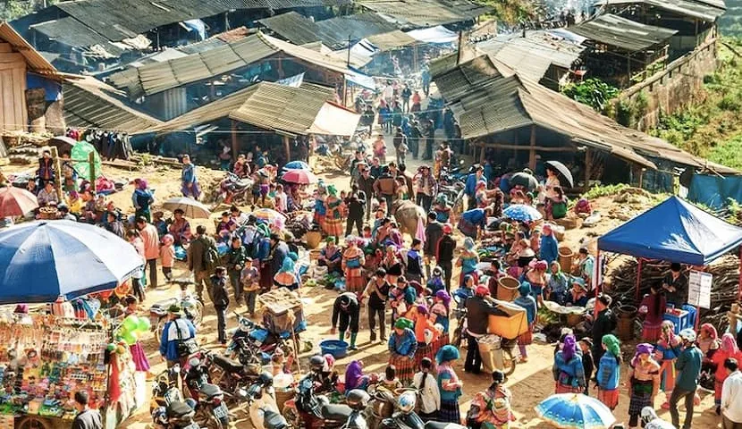 Bac Ha Market Sapa Tour Ubuntu Hostel