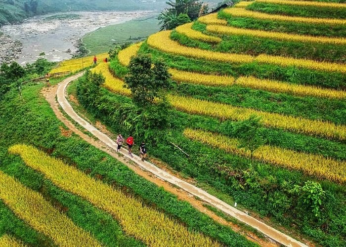 Giang Ta Chai Village Sapa Tour