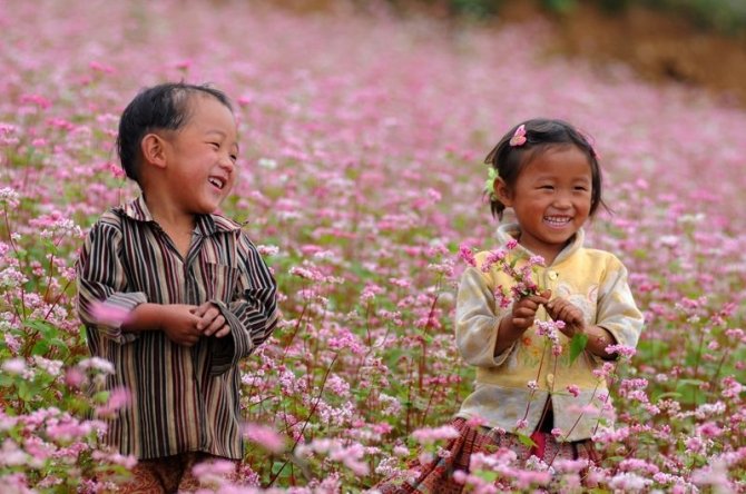 Ha Giang Loop