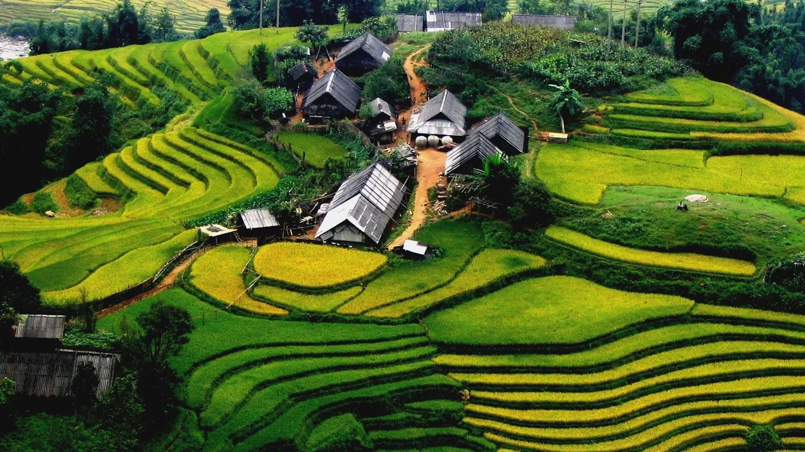 Y Linh Ho Village Sapa Tour