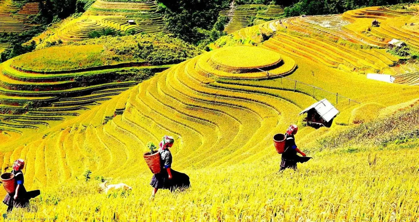 Lao Chai Village Sapa Tour
