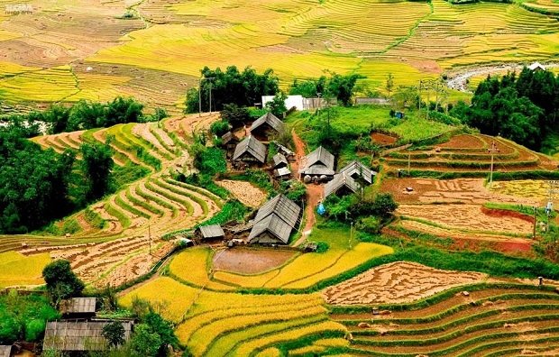 Ta Van Village Sapa Tour Ubuntu Hostel