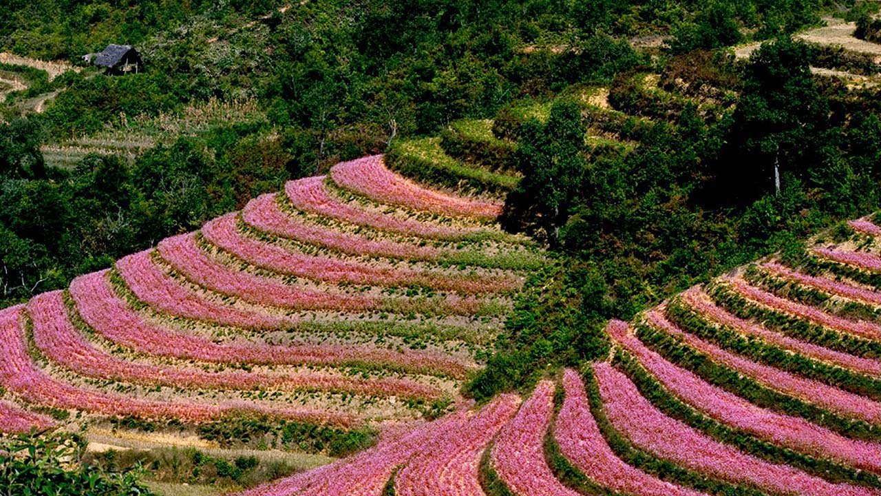 Ha Giang Loop