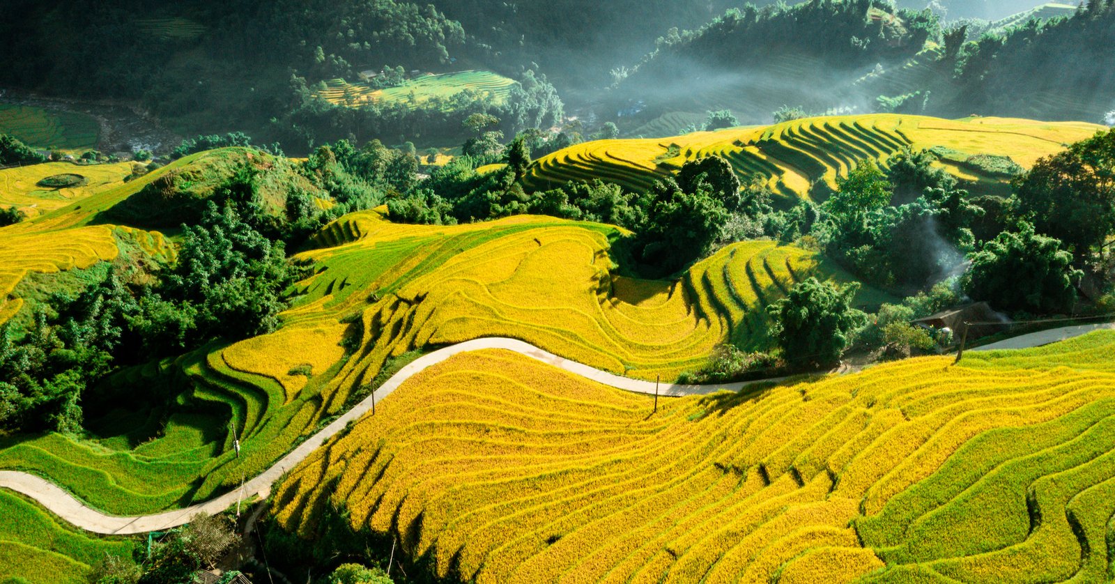 Sapa weather