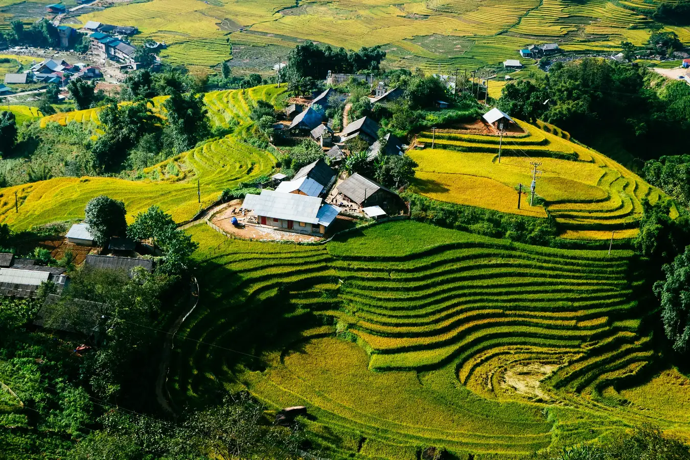Ta Van Village Sapa Tour Ubuntu Hostel